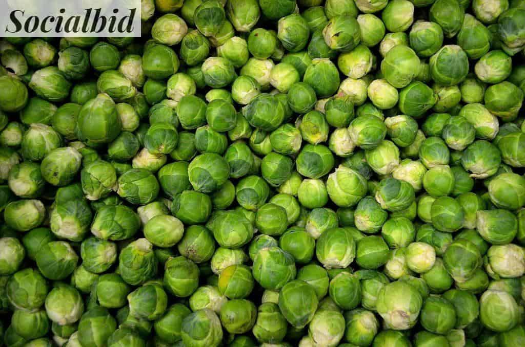 Green Round Vegetables