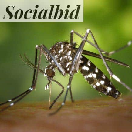 Fabricantes de mosquiteras en Alicante